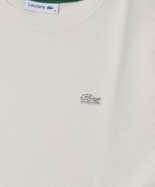 URBAN RESEARCH DOORS / アーバンリサーチ ドアーズ Tシャツ | LACOSTE　ワッフルロングTシャツ | 詳細8