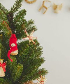 URBAN RESEARCH DOORS / アーバンリサーチ ドアーズ その他雑貨 | 南貿易　ナチュラルストローオーナメント 27個セット