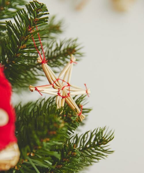 URBAN RESEARCH DOORS / アーバンリサーチ ドアーズ その他雑貨 | 南貿易　ナチュラルストローオーナメント 27個セット | 詳細1