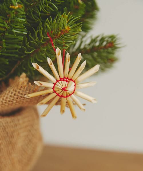 URBAN RESEARCH DOORS / アーバンリサーチ ドアーズ その他雑貨 | 南貿易　ナチュラルストローオーナメント 27個セット | 詳細5