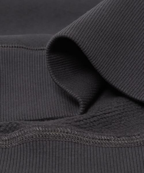 URBAN RESEARCH DOORS / アーバンリサーチ ドアーズ スウェット | FOXFIRE プリントスウェット | 詳細29