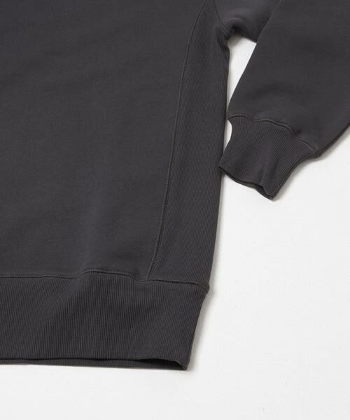 URBAN RESEARCH DOORS / アーバンリサーチ ドアーズ スウェット | FOXFIRE プリントスウェット | 詳細27