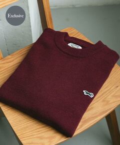 URBAN RESEARCH DOORS / アーバンリサーチ ドアーズ ニット・セーター | 『別注』PENNEYS×DOORS　THE FOX クルーネックスフレニット