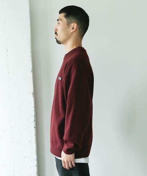 URBAN RESEARCH DOORS / アーバンリサーチ ドアーズ ニット・セーター | 『別注』PENNEYS×DOORS　THE FOX クルーネックスフレニット | 詳細10