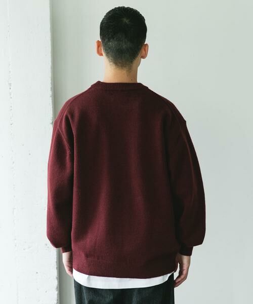 URBAN RESEARCH DOORS / アーバンリサーチ ドアーズ ニット・セーター | 『別注』PENNEYS×DOORS　THE FOX クルーネックスフレニット | 詳細11