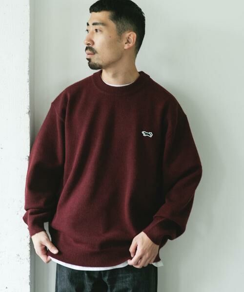 URBAN RESEARCH DOORS / アーバンリサーチ ドアーズ ニット・セーター | 『別注』PENNEYS×DOORS　THE FOX クルーネックスフレニット | 詳細4