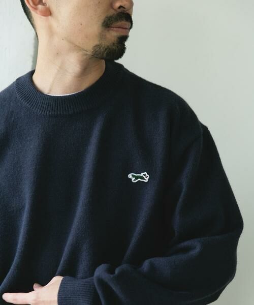 URBAN RESEARCH DOORS / アーバンリサーチ ドアーズ ニット・セーター | 『別注』PENNEYS×DOORS　THE FOX クルーネックスフレニット | 詳細19