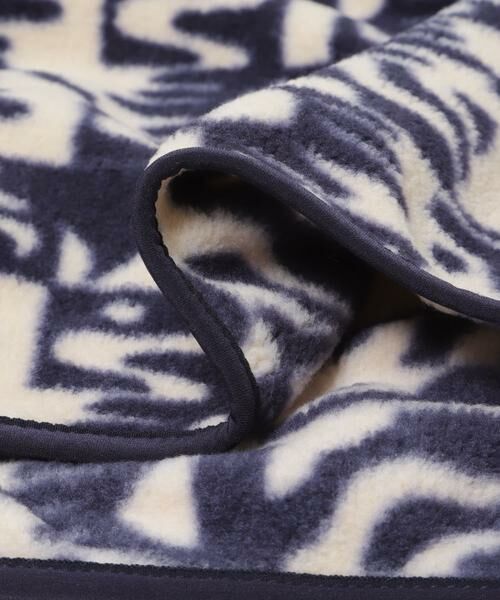 URBAN RESEARCH DOORS / アーバンリサーチ ドアーズ その他トップス | patagonia　Ks LW Synch Snap-T-Shirts Pullover | 詳細13