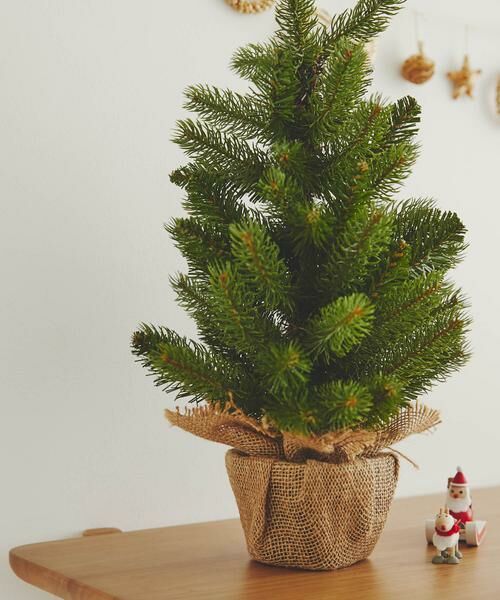 URBAN RESEARCH DOORS / アーバンリサーチ ドアーズ その他雑貨 | 南貿易　ノルウェープルースツリー | 詳細1