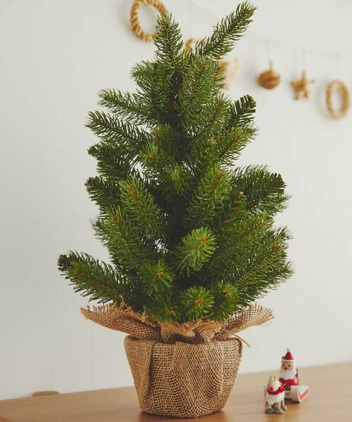 URBAN RESEARCH DOORS / アーバンリサーチ ドアーズ その他雑貨 | 南貿易　ノルウェープルースツリー | 詳細2