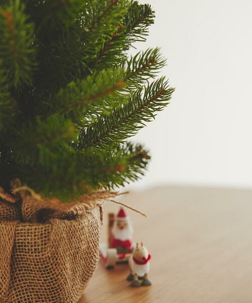 URBAN RESEARCH DOORS / アーバンリサーチ ドアーズ その他雑貨 | 南貿易　ノルウェープルースツリー | 詳細3