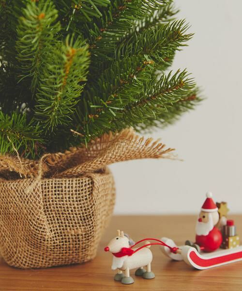 URBAN RESEARCH DOORS / アーバンリサーチ ドアーズ その他雑貨 | 南貿易　ノルウェープルースツリー | 詳細4