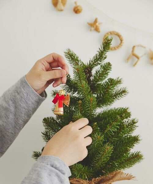 URBAN RESEARCH DOORS / アーバンリサーチ ドアーズ その他雑貨 | 南貿易　ノルウェープルースツリー | 詳細5