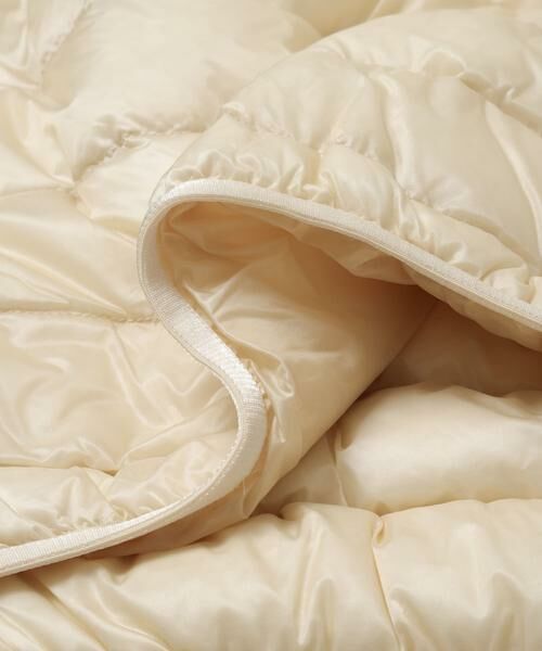 URBAN RESEARCH DOORS / アーバンリサーチ ドアーズ ダウンジャケット・ベスト | ENDS and MEANS　Light Down Pullover Jacket | 詳細11