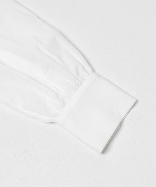 URBAN RESEARCH DOORS / アーバンリサーチ ドアーズ シャツ・ブラウス | フロントフリルスタンドカラーブラウス | 詳細15