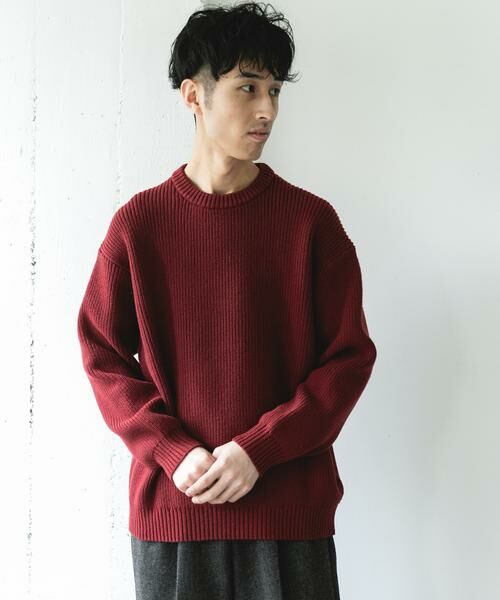 URBAN RESEARCH DOORS / アーバンリサーチ ドアーズ ニット・セーター | 畦ニット クルーネックプルオーバー | 詳細3