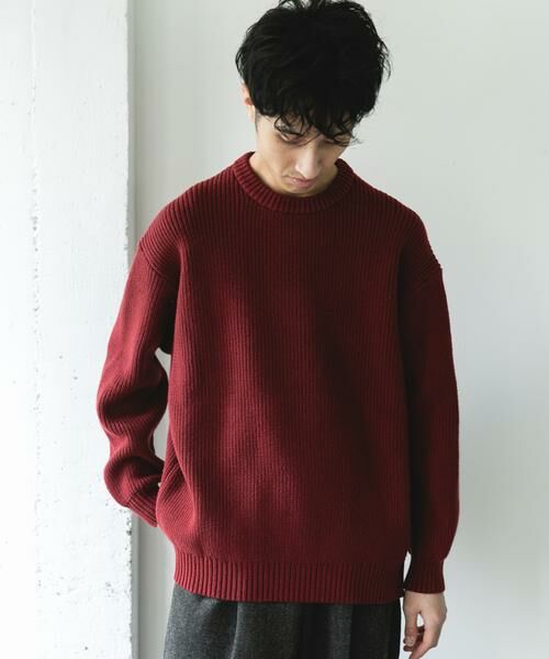 URBAN RESEARCH DOORS / アーバンリサーチ ドアーズ ニット・セーター | 畦ニット クルーネックプルオーバー | 詳細4