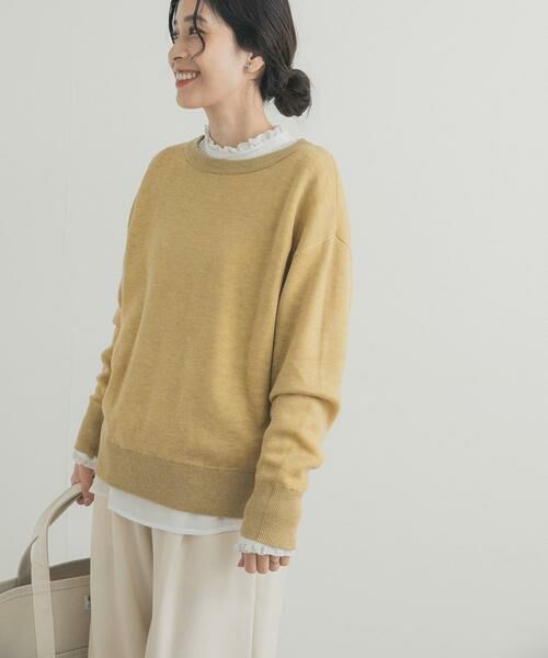 URBAN RESEARCH DOORS / アーバンリサーチ ドアーズ シャツ・ブラウス | ピンタックフリルスタンドカラーブラウス | 詳細5