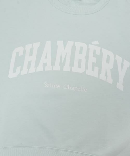 URBAN RESEARCH DOORS / アーバンリサーチ ドアーズ スウェット | カレッジロゴ刺繍スウェット | 詳細10