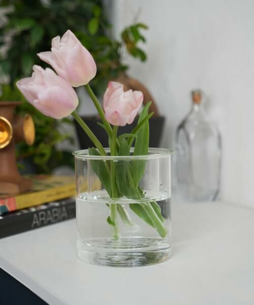 URBAN RESEARCH DOORS / アーバンリサーチ ドアーズ その他雑貨 | AXCIS　PINO ガラスプランター クリア | 詳細8