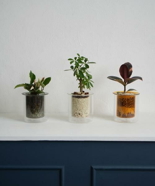 URBAN RESEARCH DOORS / アーバンリサーチ ドアーズ その他雑貨 | AXCIS　PINO ガラスプランター グレー | 詳細11