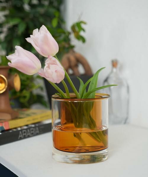 URBAN RESEARCH DOORS / アーバンリサーチ ドアーズ その他雑貨 | AXCIS　PINO ガラスプランター アンバー | 詳細6