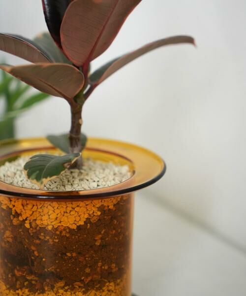 URBAN RESEARCH DOORS / アーバンリサーチ ドアーズ その他雑貨 | AXCIS　PINO ガラスプランター アンバー | 詳細7