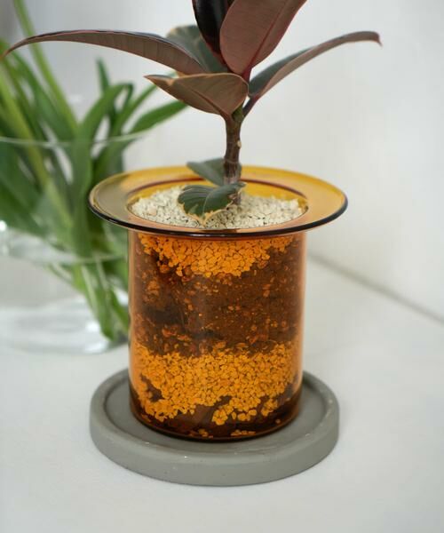 URBAN RESEARCH DOORS / アーバンリサーチ ドアーズ その他雑貨 | AXCIS　PINO ガラスプランター アンバー | 詳細8