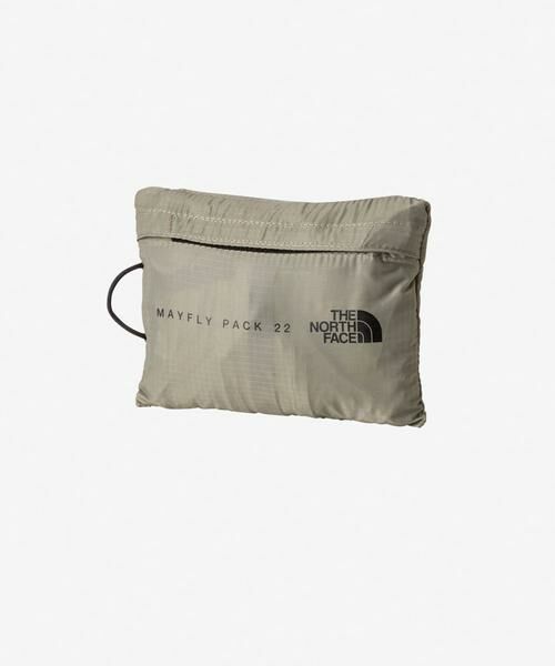 URBAN RESEARCH DOORS / アーバンリサーチ ドアーズ リュック・バックパック | THE NORTH FACE　MAYFLY PACK 22 | 詳細11