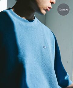 URBAN RESEARCH DOORS / アーバンリサーチ ドアーズ Tシャツ | 『別注』LACOSTE×DOORS　THICK PIQUE ROUND SHORT-SLEEVE