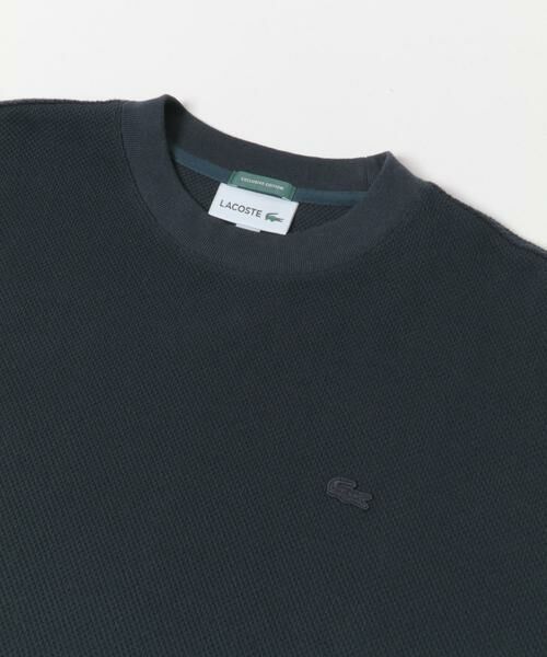 URBAN RESEARCH DOORS / アーバンリサーチ ドアーズ Tシャツ | 『別注』LACOSTE×DOORS　THICK PIQUE ROUND SHORT-SLEEVE | 詳細30