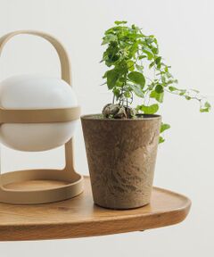 URBAN RESEARCH DOORS / アーバンリサーチ ドアーズ その他雑貨 | amabro　ART STONE SSS BR