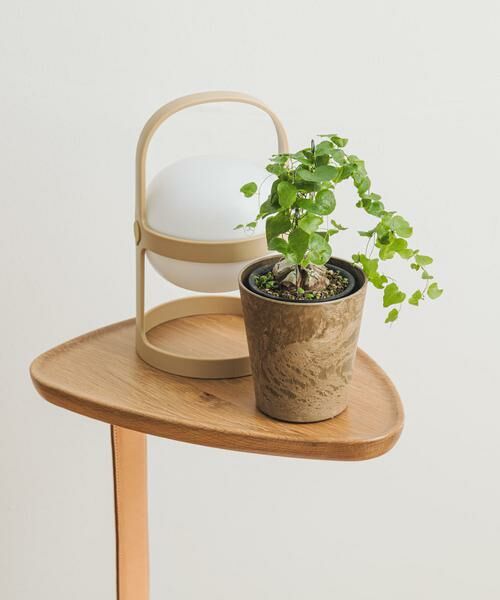 URBAN RESEARCH DOORS / アーバンリサーチ ドアーズ その他雑貨 | amabro　ART STONE SSS BR | 詳細1