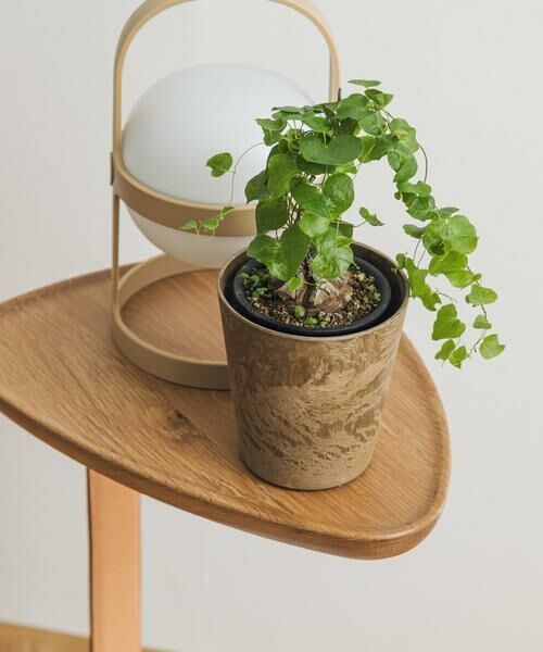 URBAN RESEARCH DOORS / アーバンリサーチ ドアーズ その他雑貨 | amabro　ART STONE SSS BR | 詳細2