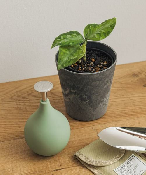 URBAN RESEARCH DOORS / アーバンリサーチ ドアーズ その他雑貨 | amabro　ART STONE SSS GY（グレー）