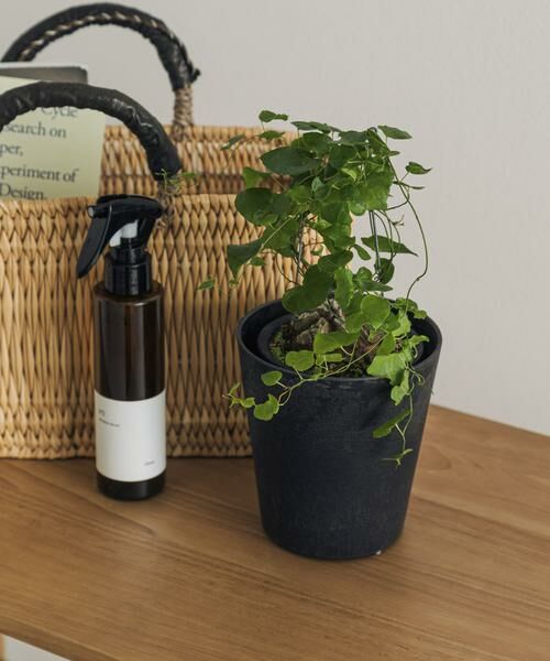 URBAN RESEARCH DOORS / アーバンリサーチ ドアーズ その他雑貨 | amabro　ART STONE SSS BK | 詳細1