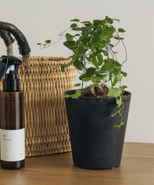 URBAN RESEARCH DOORS / アーバンリサーチ ドアーズ その他雑貨 | amabro　ART STONE SSS BK（ブラック）