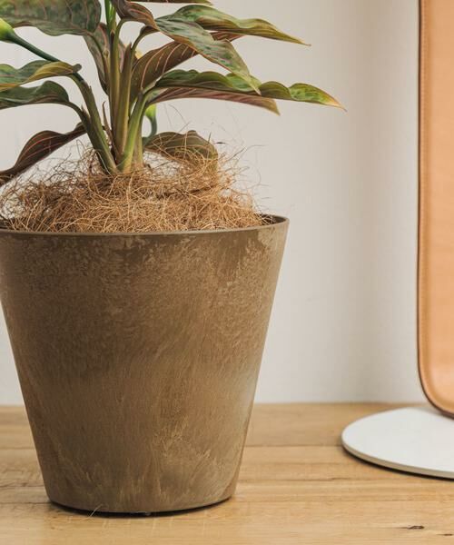 URBAN RESEARCH DOORS / アーバンリサーチ ドアーズ その他雑貨 | amabro　ART STONE SS BR | 詳細3