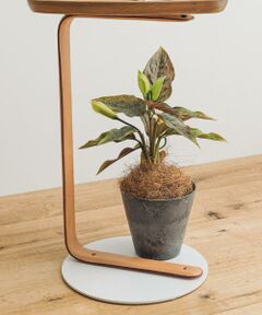 URBAN RESEARCH DOORS / アーバンリサーチ ドアーズ その他雑貨 | amabro　ART STONE SS GY