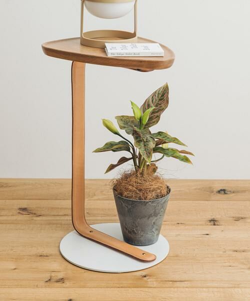 URBAN RESEARCH DOORS / アーバンリサーチ ドアーズ その他雑貨 | amabro　ART STONE SS GY | 詳細1