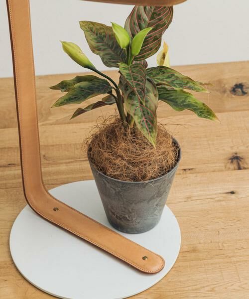 URBAN RESEARCH DOORS / アーバンリサーチ ドアーズ その他雑貨 | amabro　ART STONE SS GY | 詳細2