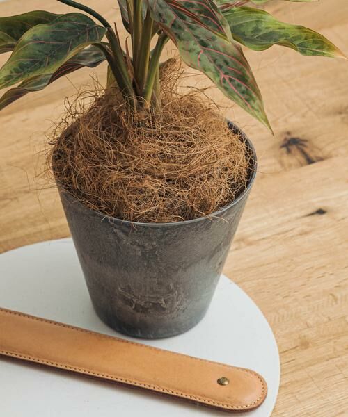 URBAN RESEARCH DOORS / アーバンリサーチ ドアーズ その他雑貨 | amabro　ART STONE SS GY | 詳細3