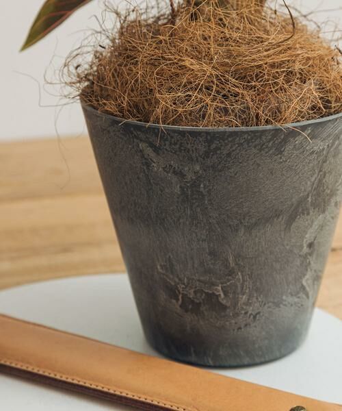 URBAN RESEARCH DOORS / アーバンリサーチ ドアーズ その他雑貨 | amabro　ART STONE SS GY | 詳細4