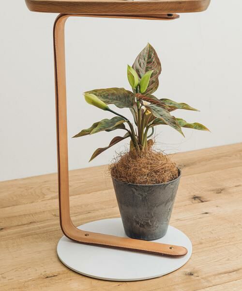 URBAN RESEARCH DOORS / アーバンリサーチ ドアーズ その他雑貨 | amabro　ART STONE SS GY（グレー）