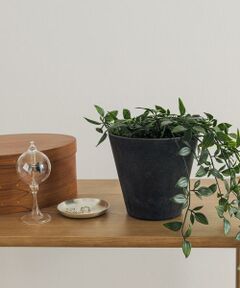 URBAN RESEARCH DOORS / アーバンリサーチ ドアーズ その他雑貨 | amabro　ART STONE SS BK