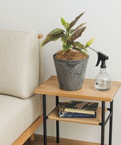 URBAN RESEARCH DOORS / アーバンリサーチ ドアーズ その他雑貨 | amabro　ART STONE S GY