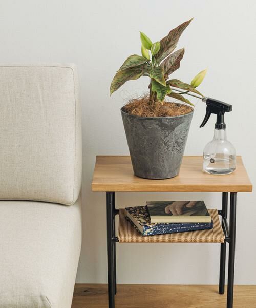 URBAN RESEARCH DOORS / アーバンリサーチ ドアーズ その他雑貨 | amabro　ART STONE S GY | 詳細1