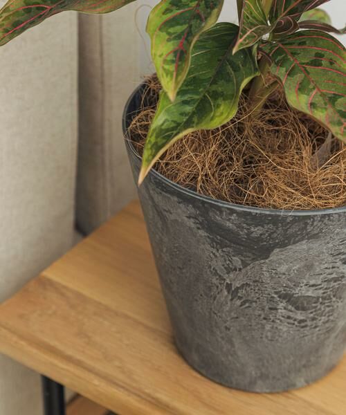 URBAN RESEARCH DOORS / アーバンリサーチ ドアーズ その他雑貨 | amabro　ART STONE S GY | 詳細5