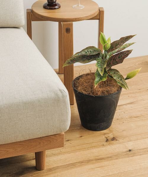 URBAN RESEARCH DOORS / アーバンリサーチ ドアーズ その他雑貨 | amabro　ART STONE S BK | 詳細1