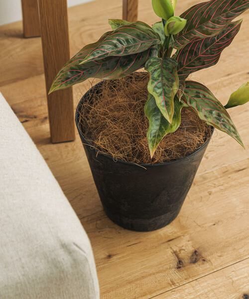 URBAN RESEARCH DOORS / アーバンリサーチ ドアーズ その他雑貨 | amabro　ART STONE S BK | 詳細2